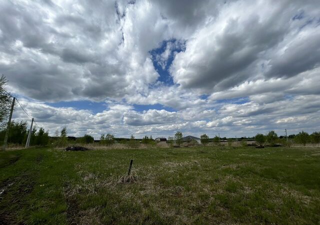 58 км, территория Петровское-1, Центральная ул, Новорязанское шоссе фото