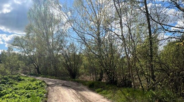 земля ул Центральная с. Архангельское фото