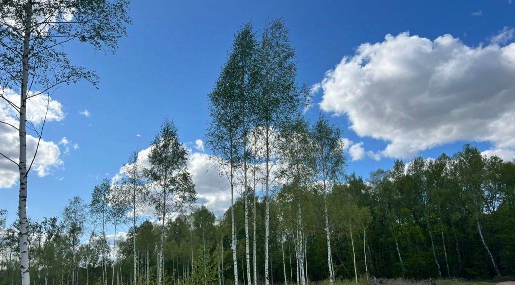 земля г Тула ул Центральная с. Архангельское фото 3