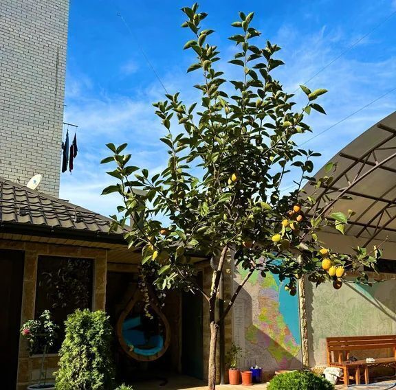 дом г Каспийск ул Алферова 12б фото 2