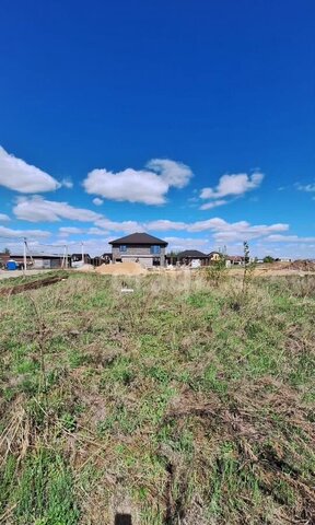 24 км, г. о. Домодедово, Новокаширское шоссе фото