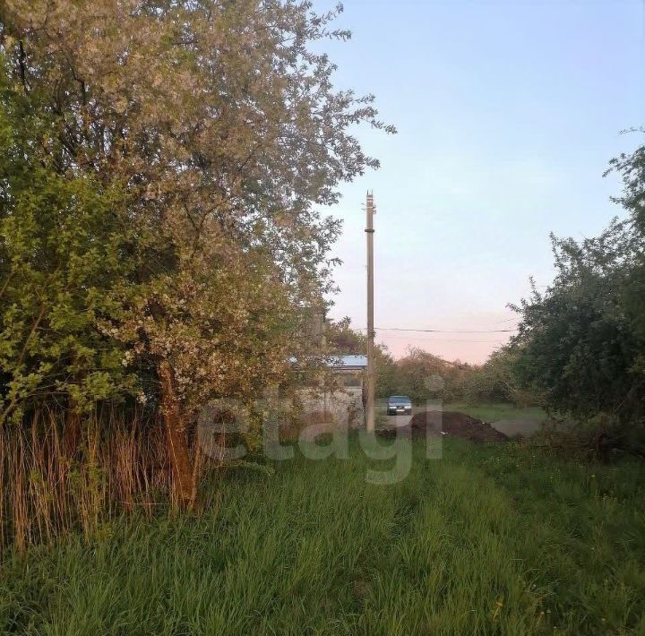 земля г Калининград р-н Ленинградский Дружба-Девау СТ, ул. Центральная фото 4