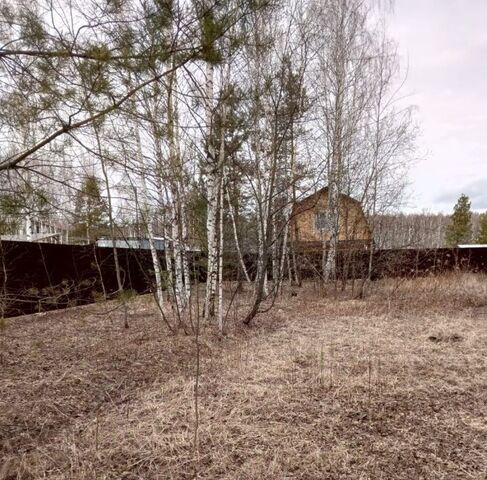 земля сектор А сад Шелухово 180 фото