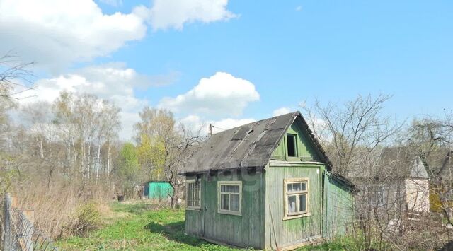 снт Дружба 26 фото