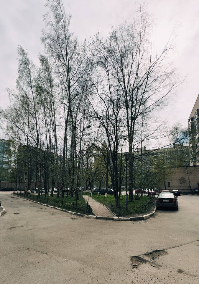квартира г Санкт-Петербург метро Озерки Сосновское пр-кт Художников 9/1 фото 19