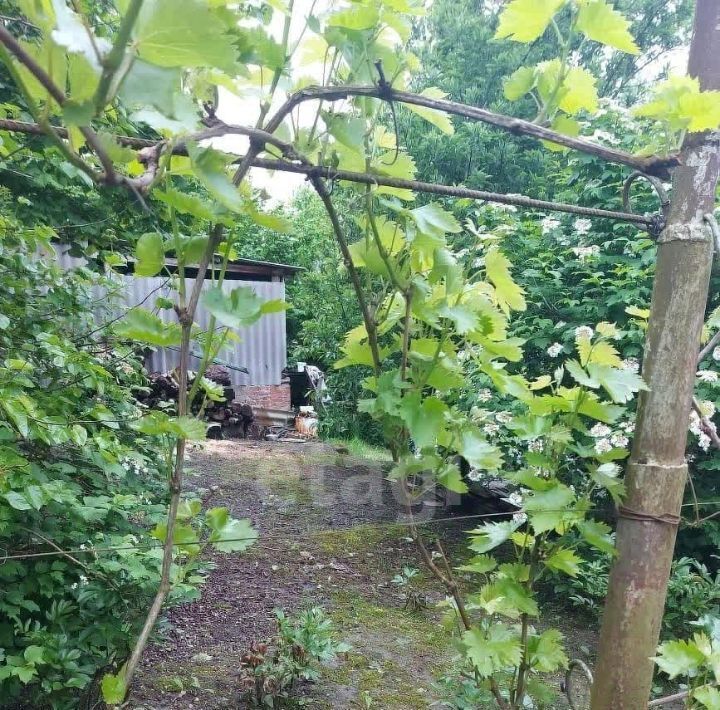 дом г Горячий Ключ фото 5