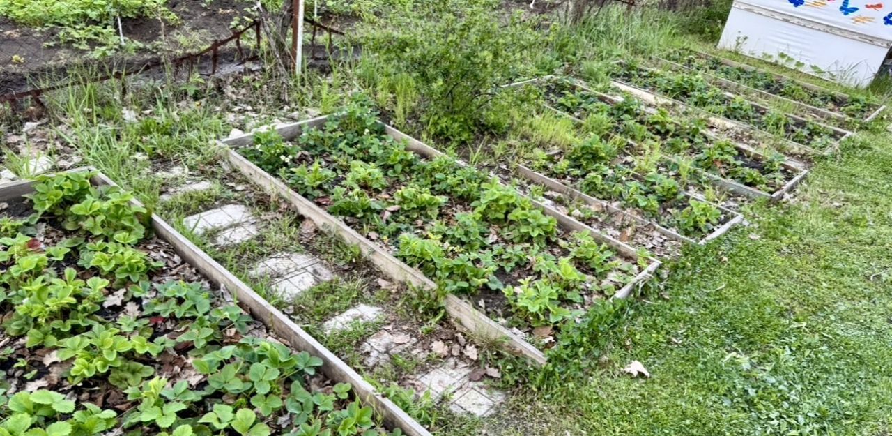 дом г Аткарск снт Бытовик 5 фото 7
