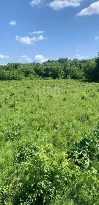 земля г Воронеж ул Одесская фото 3