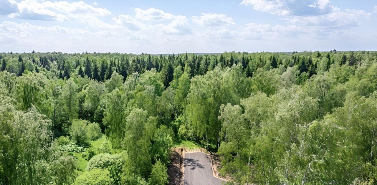 земля г Домодедово д Ивановка Лесной остров кп, 74 фото 6