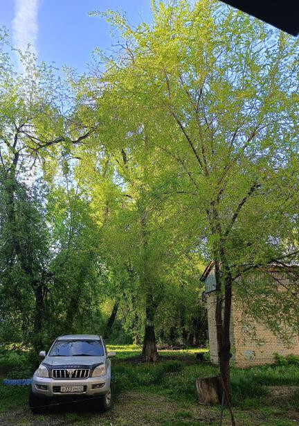 квартира г Новокузнецк ул Фестивальная 14 Кузбасс фото 5