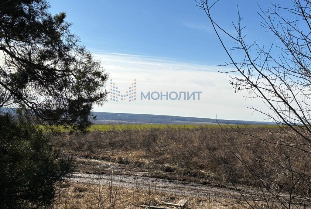 земля г Бор с Останкино (Останкинский с/с) ул Молодежная фото 2