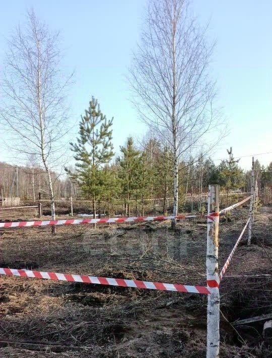 земля р-н Зеленодольский г Зеленодольск снт Трудовик фото 1