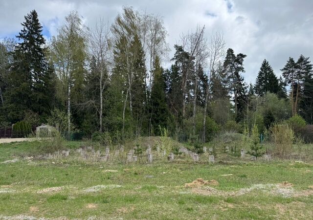 направление Ленинградское (северо-запад) ш Пятницкое 20 км, КП Андреевский парк, 23, Московская обл., г. о. Солнечногорск фото
