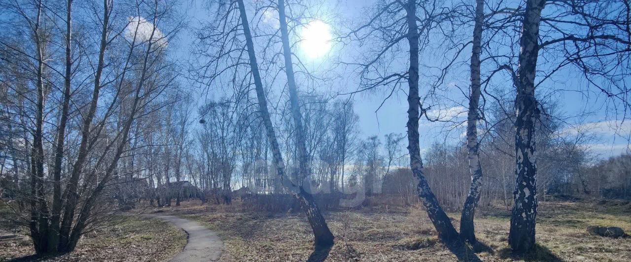 земля г Омск р-н Ленинский ул Лобкова фото 4