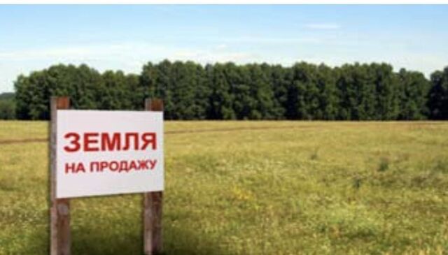 ул Центральная 98 км, Дмитровское шоссе фото