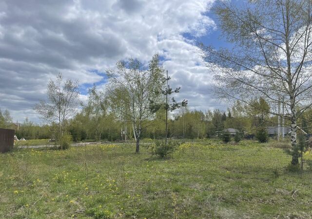 36 км, КП Шустово, Дмитровское шоссе фото