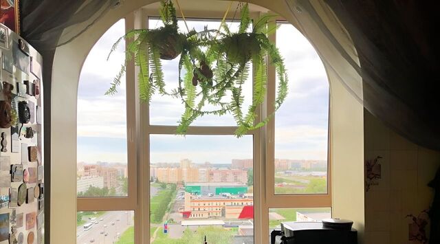 метро Улица Дыбенко дом 38к/5 фото
