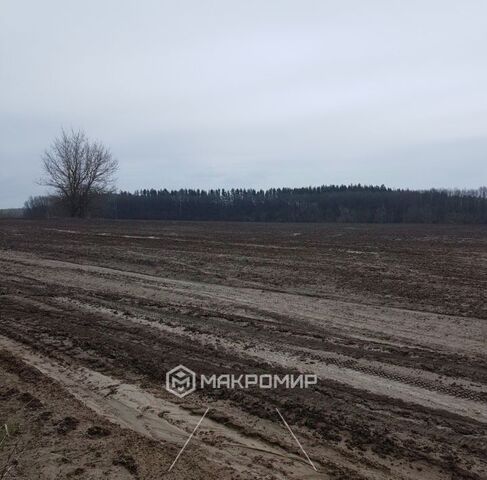 ул Горная 8 фото