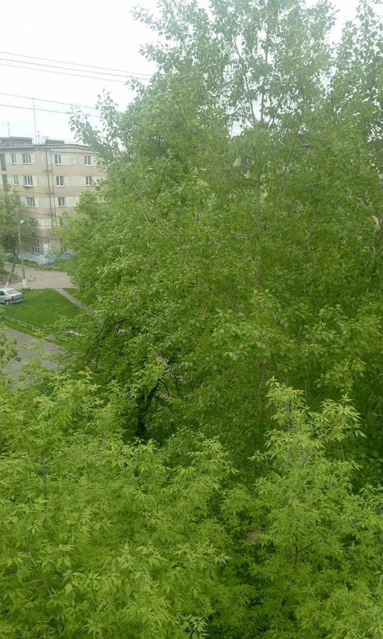 квартира г Челябинск р-н Курчатовский пр-кт Победы 200 фото 6