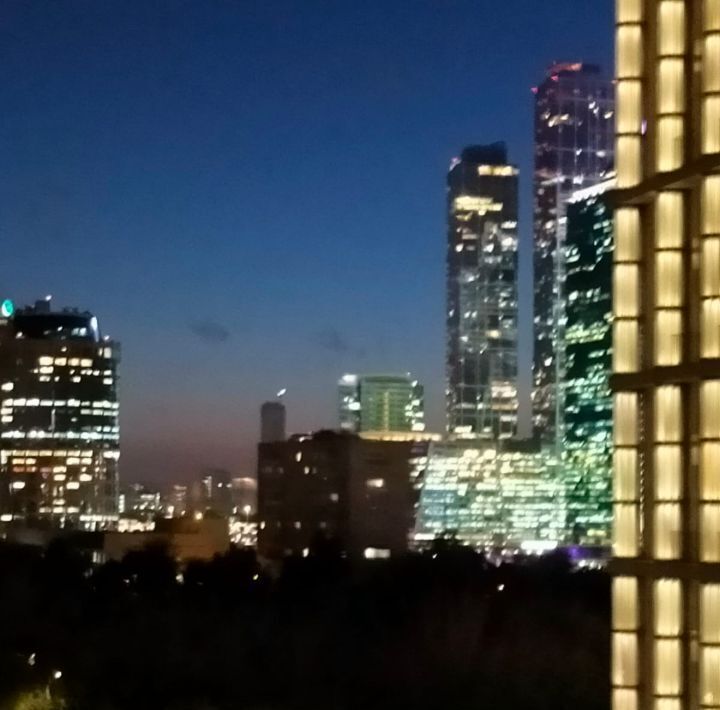 квартира г Москва метро Киевская пр-кт Кутузовский 10 фото 5