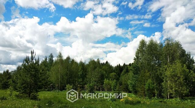 6, Федяковское с пос фото