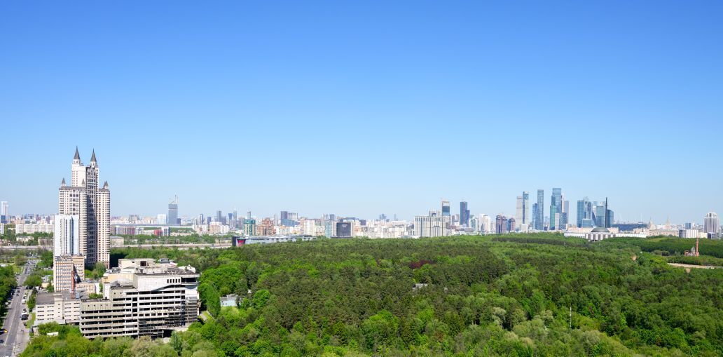 квартира г Москва метро Минская ул Нежинская 1к/1 фото 1