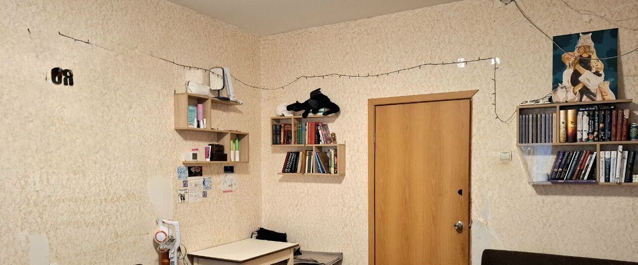 квартира г Нижний Новгород Горьковская ул Богдановича 4 фото 9