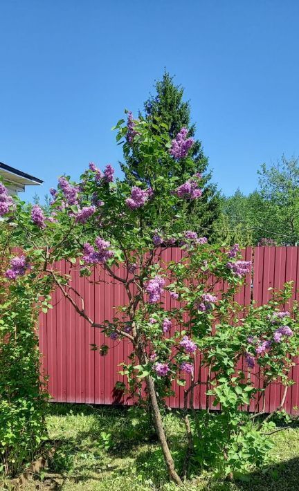 дом городской округ Талдомский г Талдом СНТ Слава, 86 фото 11