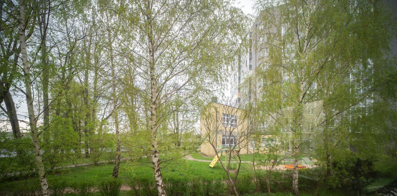 квартира г Пионерский ул Шаманова 8к/2 фото 38