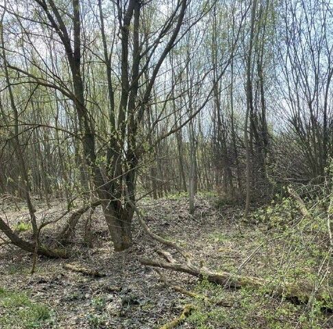 городской округ Талдомский д Павловичи фото