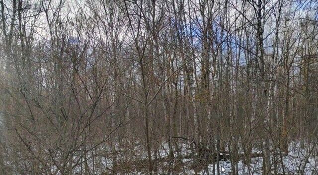 городской округ Чехов д Ваулово 17 фото