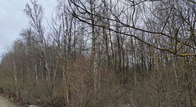 городской округ Чехов д Ваулово 49 фото