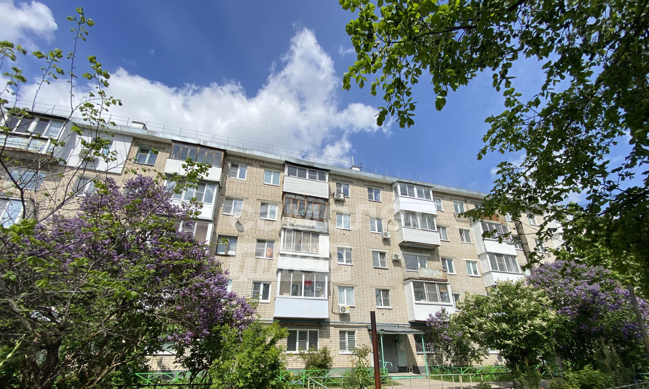 квартира г Дзержинск ул Октябрьская 44 5-й м-н фото 22