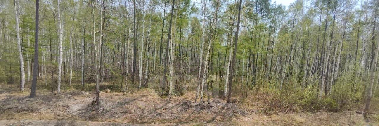 квартира г Комсомольск-на-Амуре п Дружба Центральный округ 32 фото 17