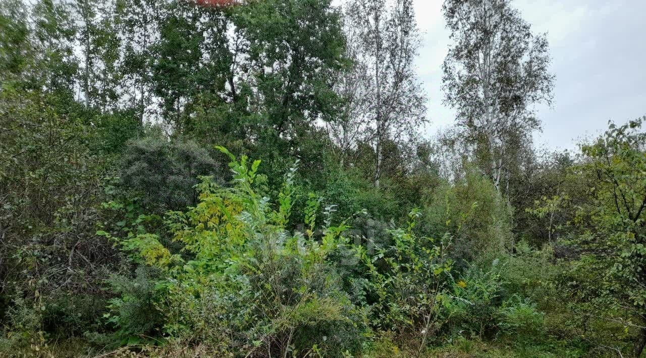 дом г Хабаровск р-н Краснофлотский сад Родники 183 фото 19