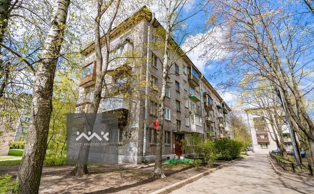 ул Дибуновская 43 Старая деревня фото