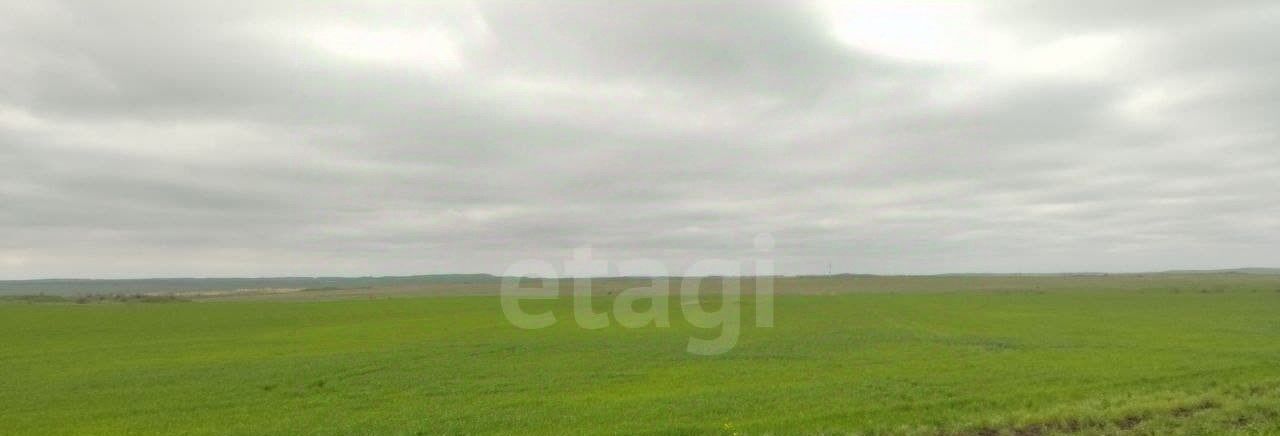 земля г Феодосия пгт Приморский ул Керченская фото 4