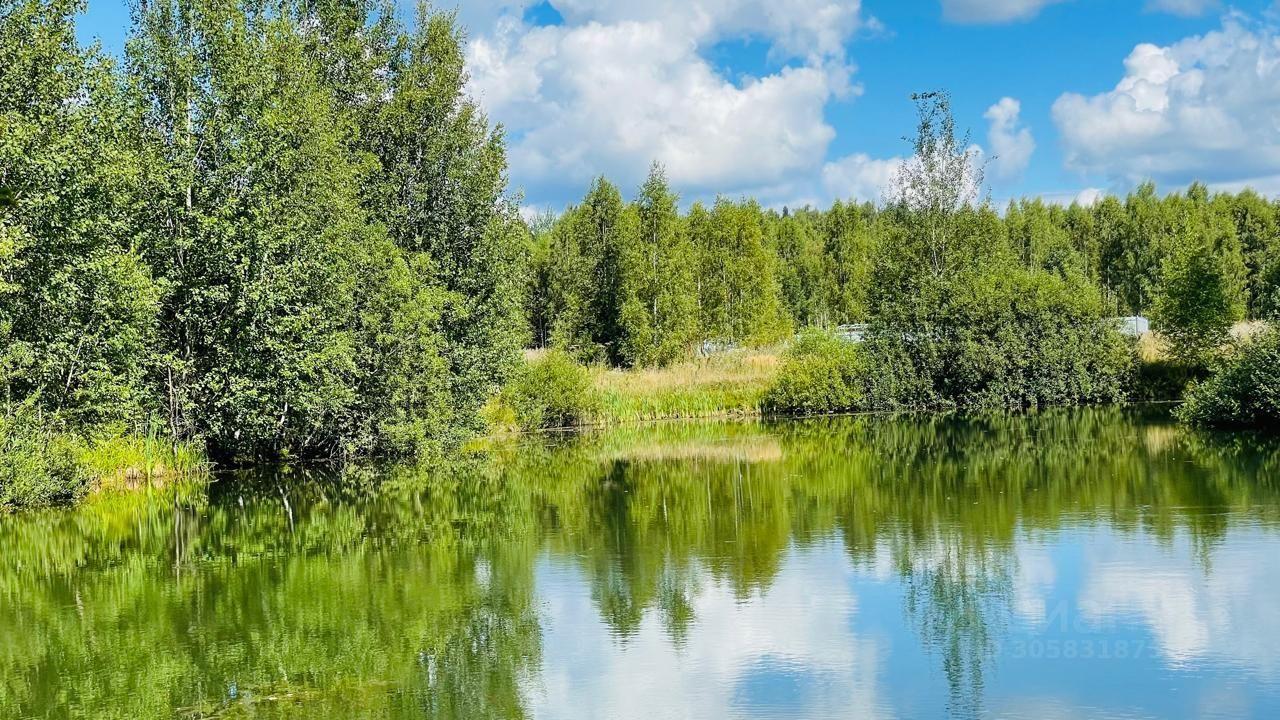 земля городской округ Сергиево-Посадский г Краснозаводск «Холмогоры» фото 3
