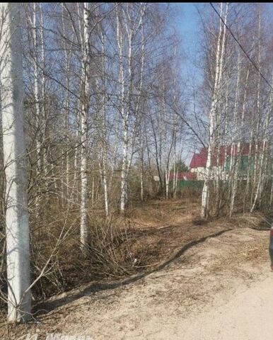 ул 4-я Дачная 78 км, Рогачево, Рогачёвское шоссе фото