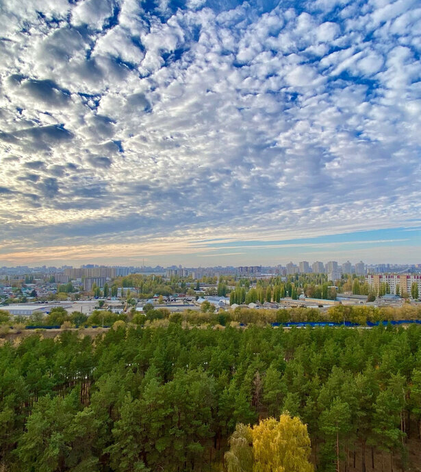 квартира г Воронеж р-н Железнодорожный б-р Содружества 1 фото 22