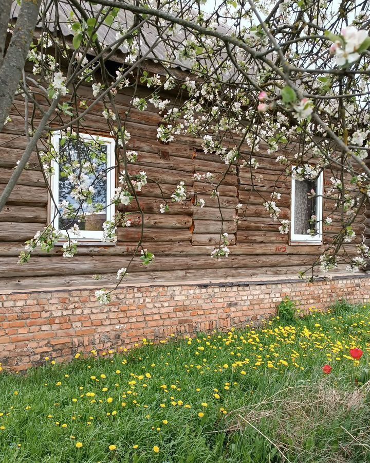 дом г Великие Луки ул Лаврино 60 фото 15