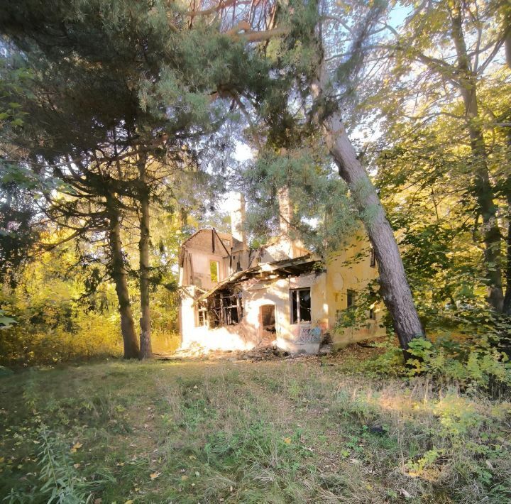 земля р-н Светлогорский г Светлогорск ул Майская фото 1