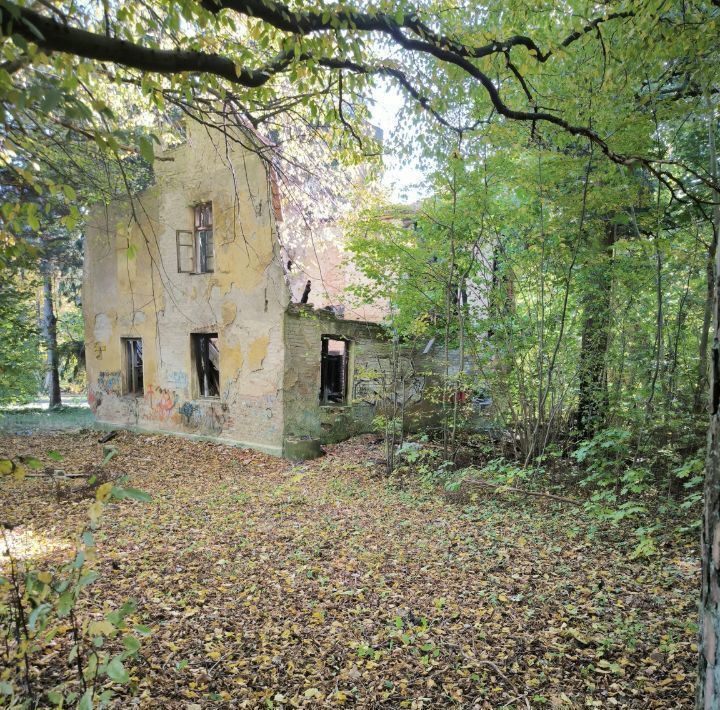 земля р-н Светлогорский г Светлогорск ул Майская фото 5