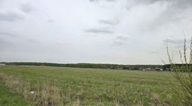 д Сертякино Подольск фото