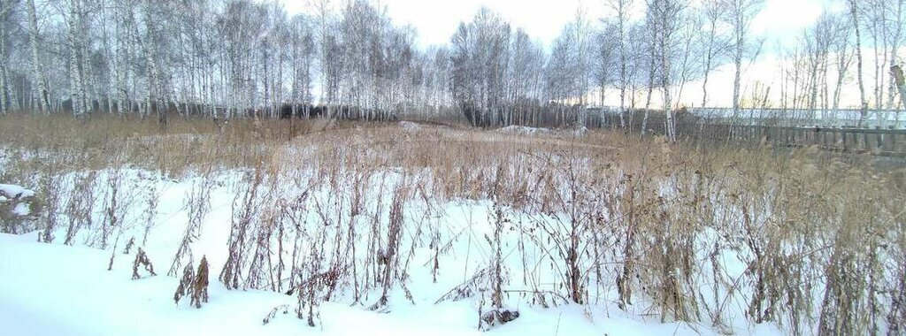 земля г Тюмень снт Поле чудес ул Чудесная Центральный административный округ фото 3
