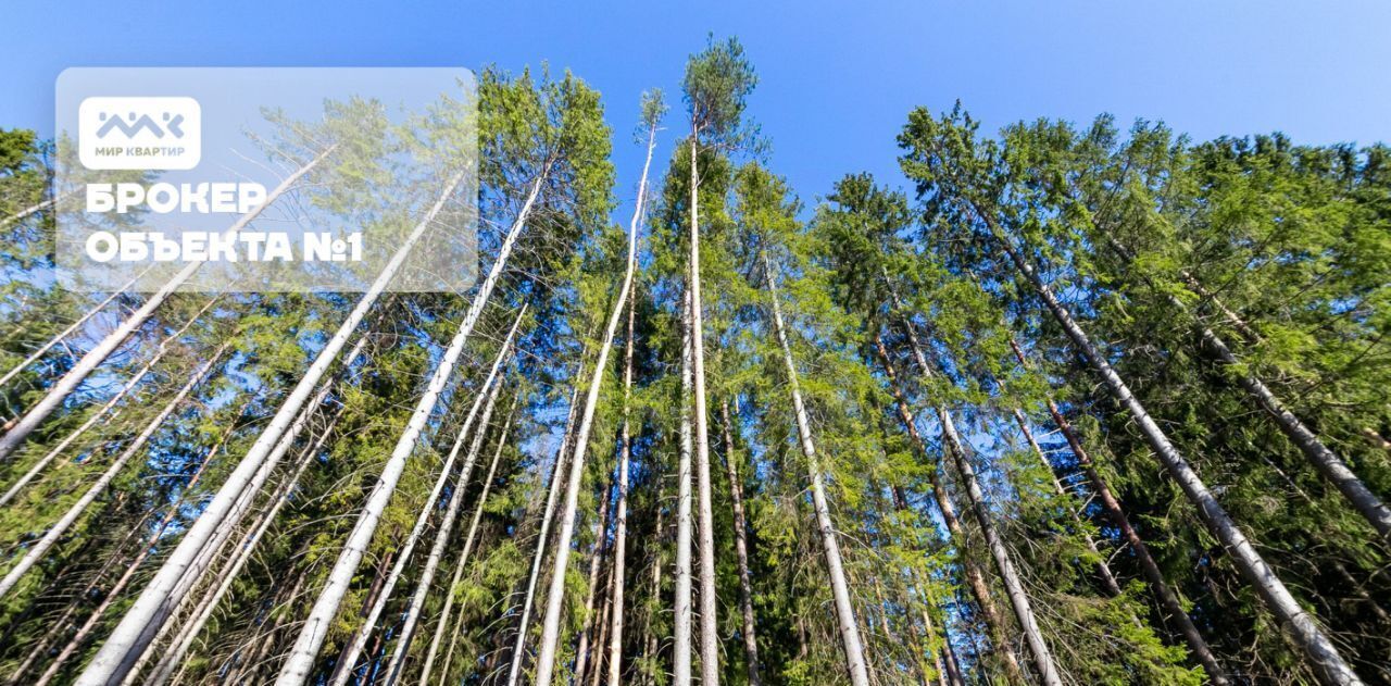 земля г Зеленогорск Курортный ул 1-я Лесная 18 фото 8