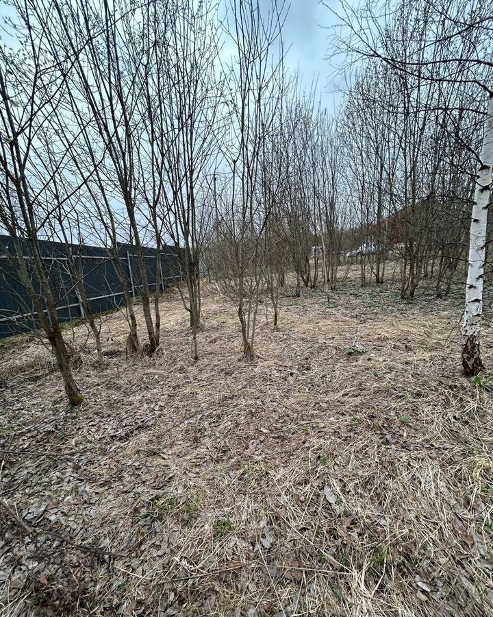 земля г Краснокамск п Оверята снт Мысовские Усадьбы ул Сосновая 8 фото 3