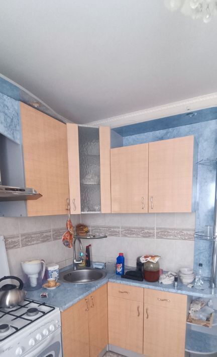 квартира г Нижний Новгород Парк культуры ул Героя Советского Союза Прыгунова 31 фото 12