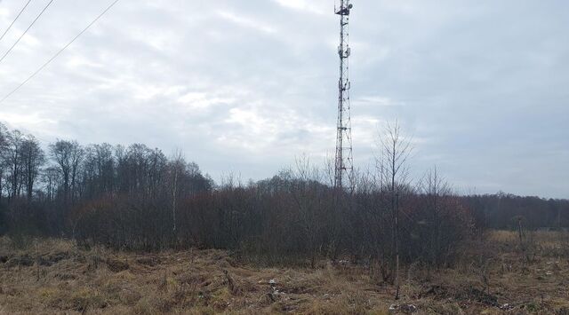 городской округ Наро-Фоминский д Головково фото