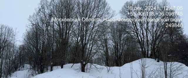 городской округ Наро-Фоминский д Зубово фото